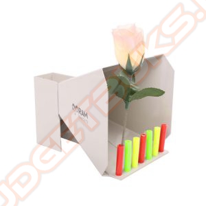 Ram Targets Schietkast Incl. 10 Kalkpijpjes